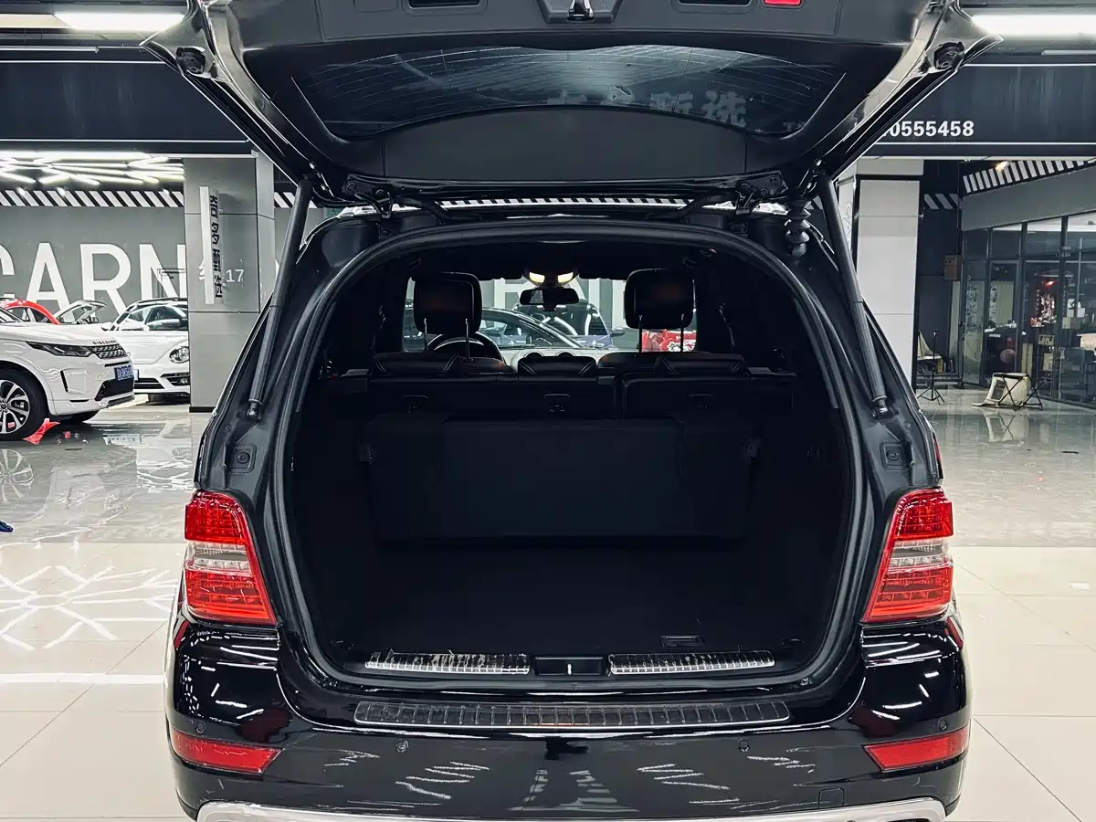 Mercedes-Benz M-Class 2010 ML 350 4MATIC Luxury Special Edition фото 25