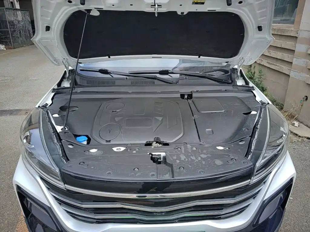 Cowin Xuanjie 2021 2020 Facelift 1.5L CVT Yao