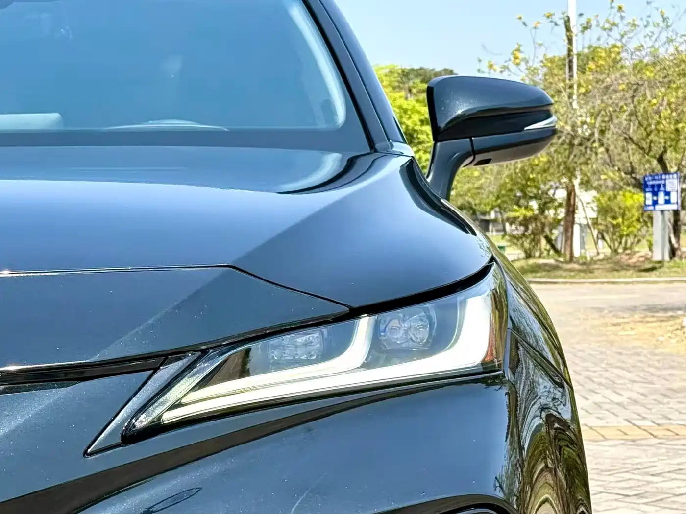 Toyota Venza 2023 2.0L CVT FWD Premium фото 22
