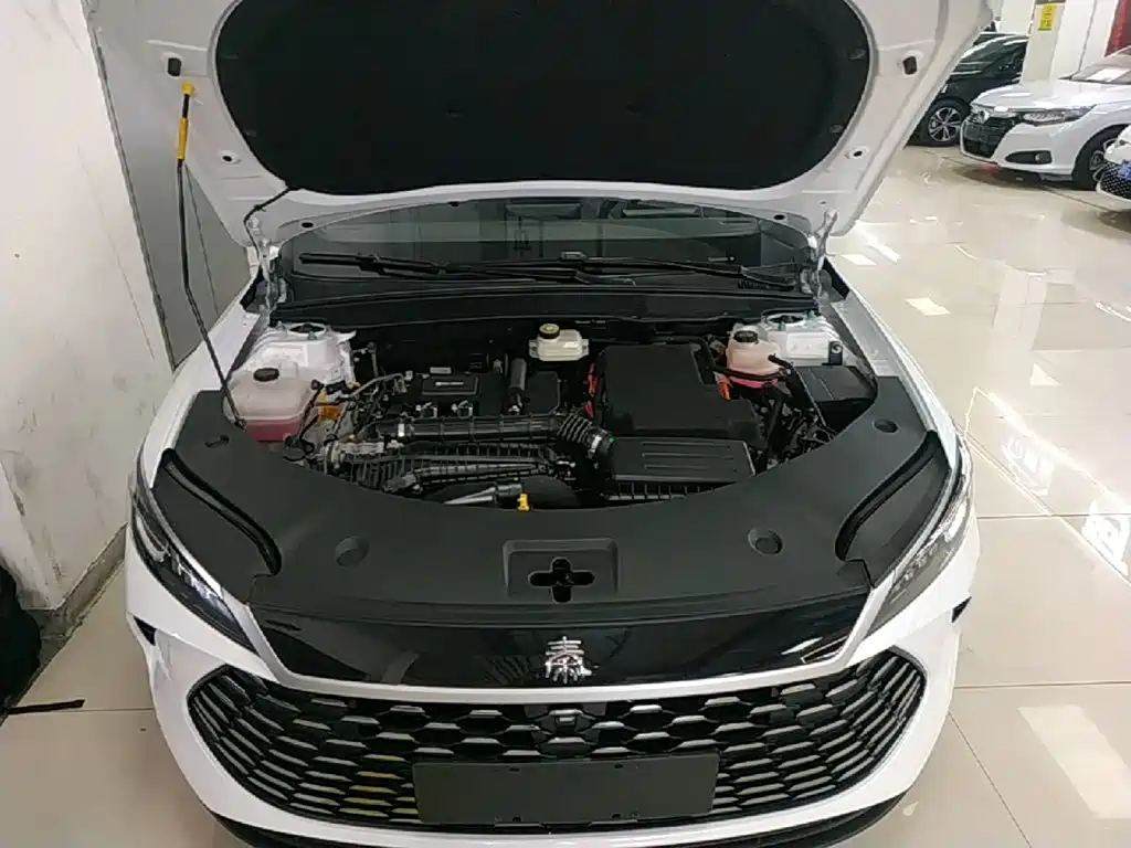 Фото 20 - BYD Qin PLUS