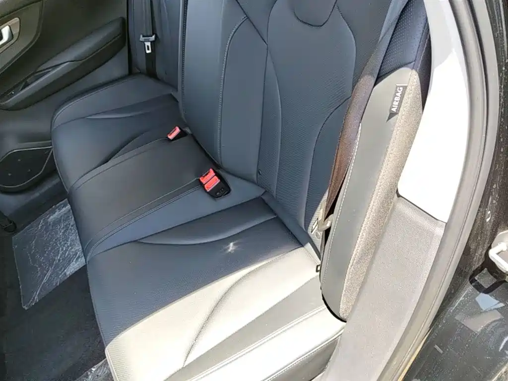 Hongqi E-QM5 2023 Facelift Basic Travel Edition фото 17