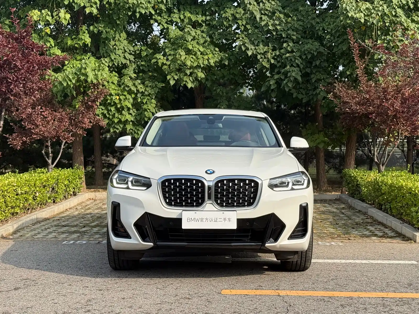 صورة 5 - BMW X4