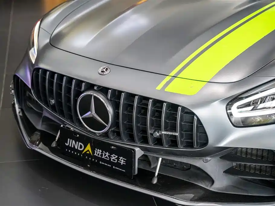 Mercedes-Benz AMG GT 2019 AMG GT R PRO фото 6
