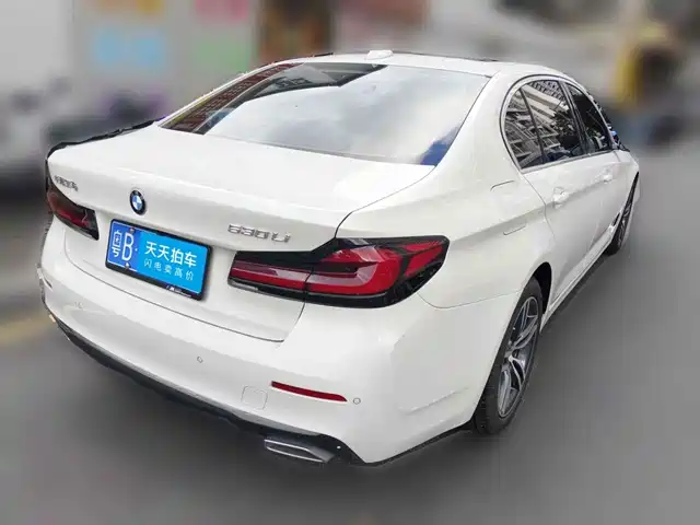 BMW 5 Series 2022 530Li Leading Luxury Package — фото 2