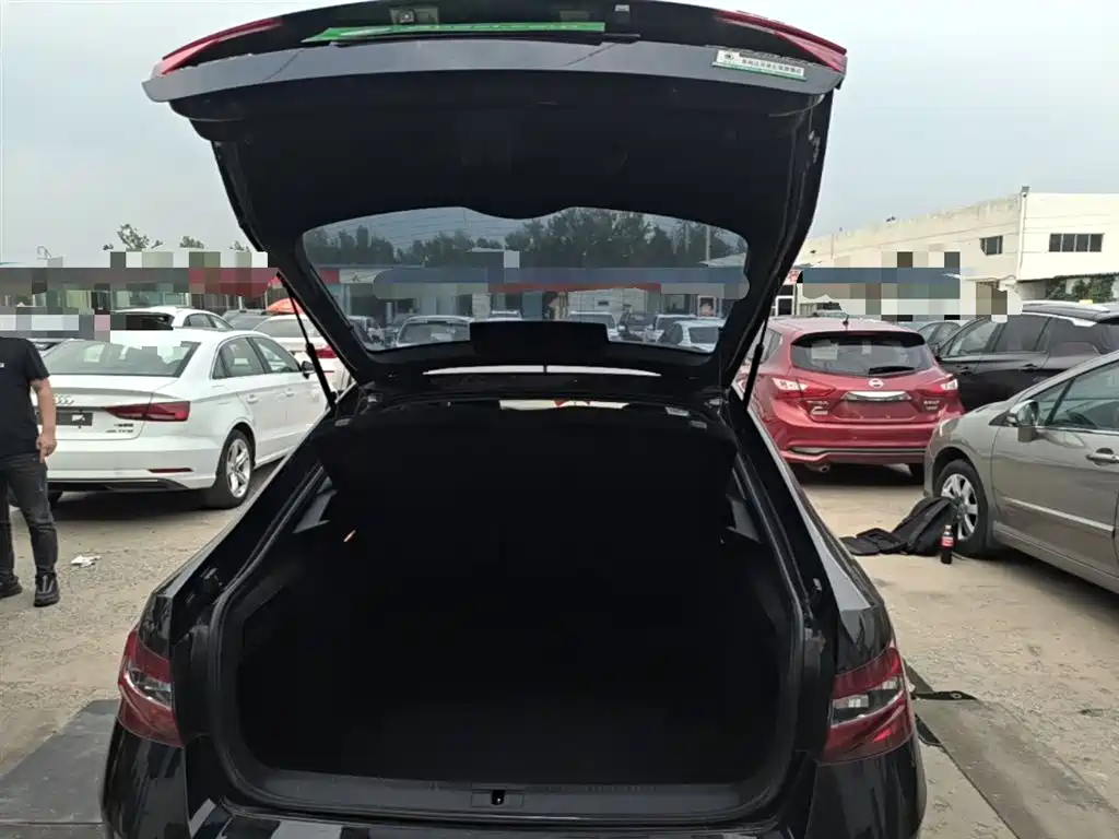 Škoda Superb 2016 TSI280 DSG Pioneer Edition фото 19