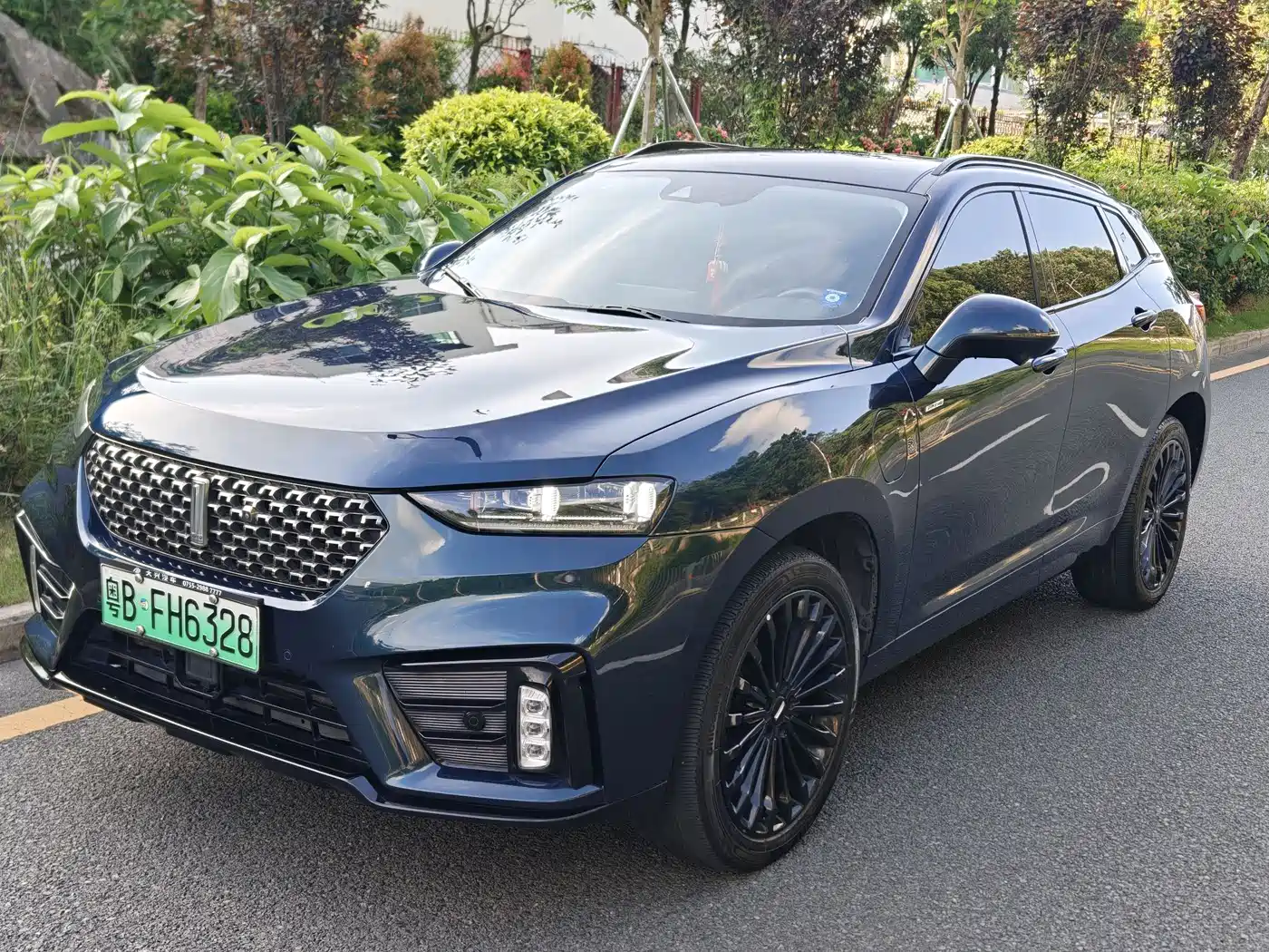 Wey VV7 New Energy 2020 PHEV 2.0T Flagship Model