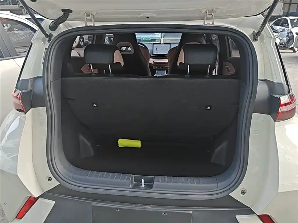 BYD Seagull 2023 Flying Edition фото 19