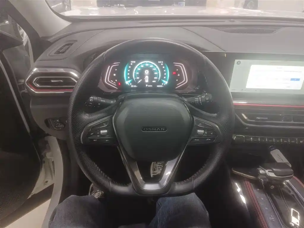 Фото 7 - Changan Oshan Changan Oushang X5