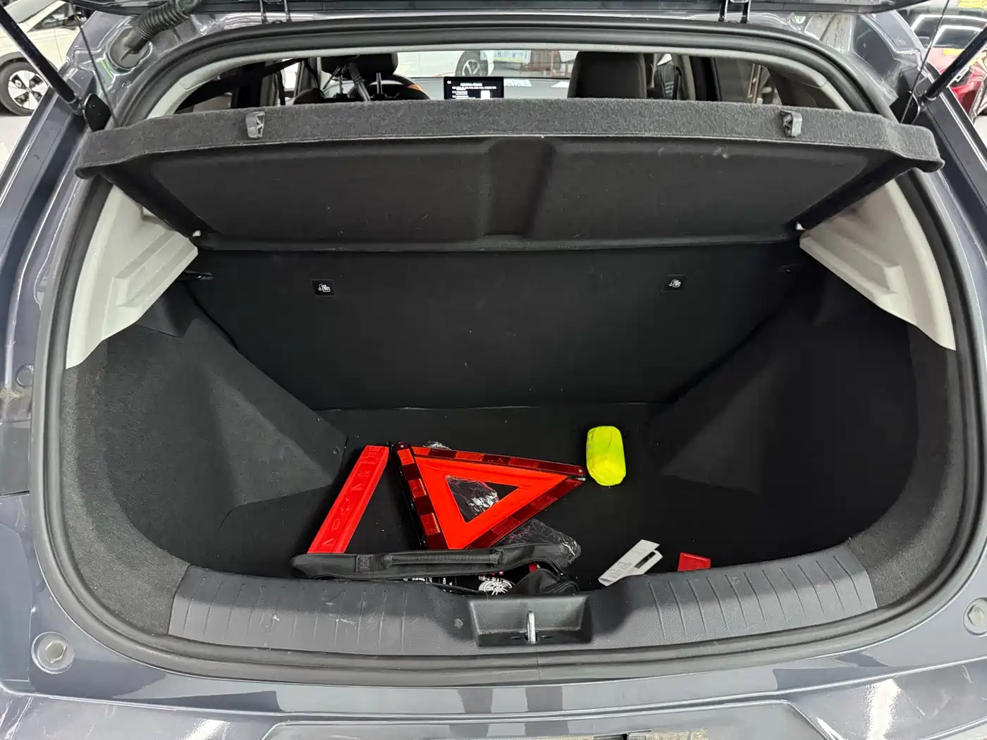 BYD e2 2021 2020 Upgraded Long Range Luxury
