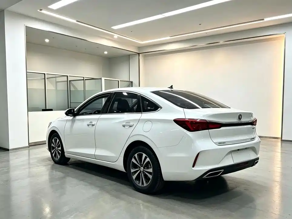 Фото 7 - Changan Eado