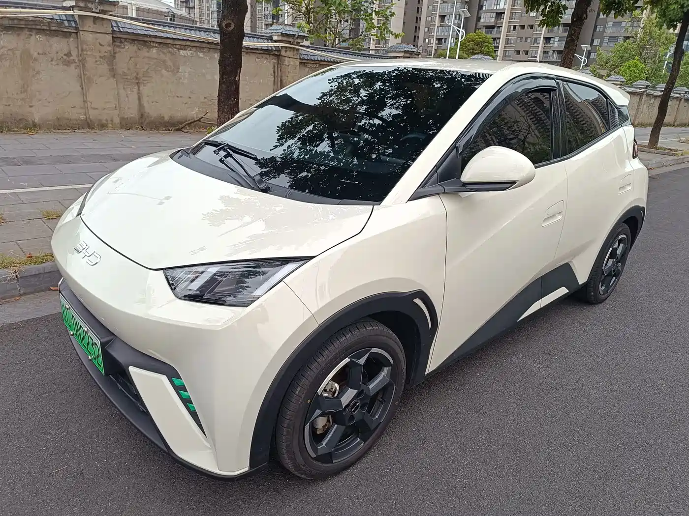 BYD Seagull 2024