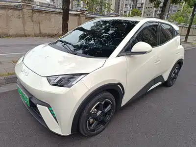 BYD Seagull