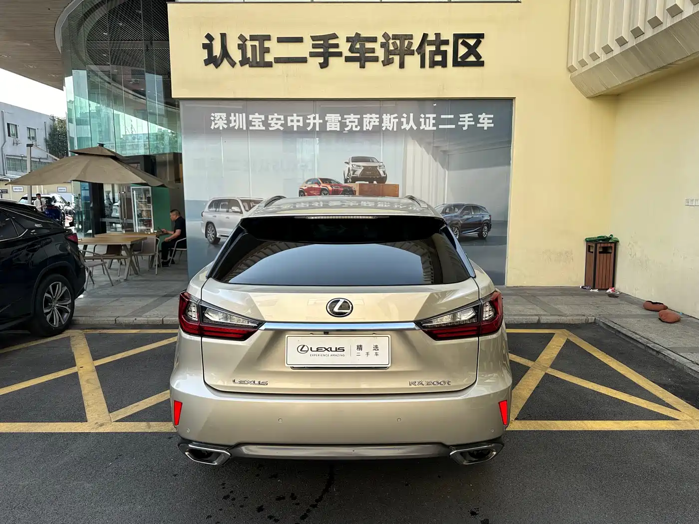Lexus RX 2016 300 4WD Elegance Edition (China V) фото 23
