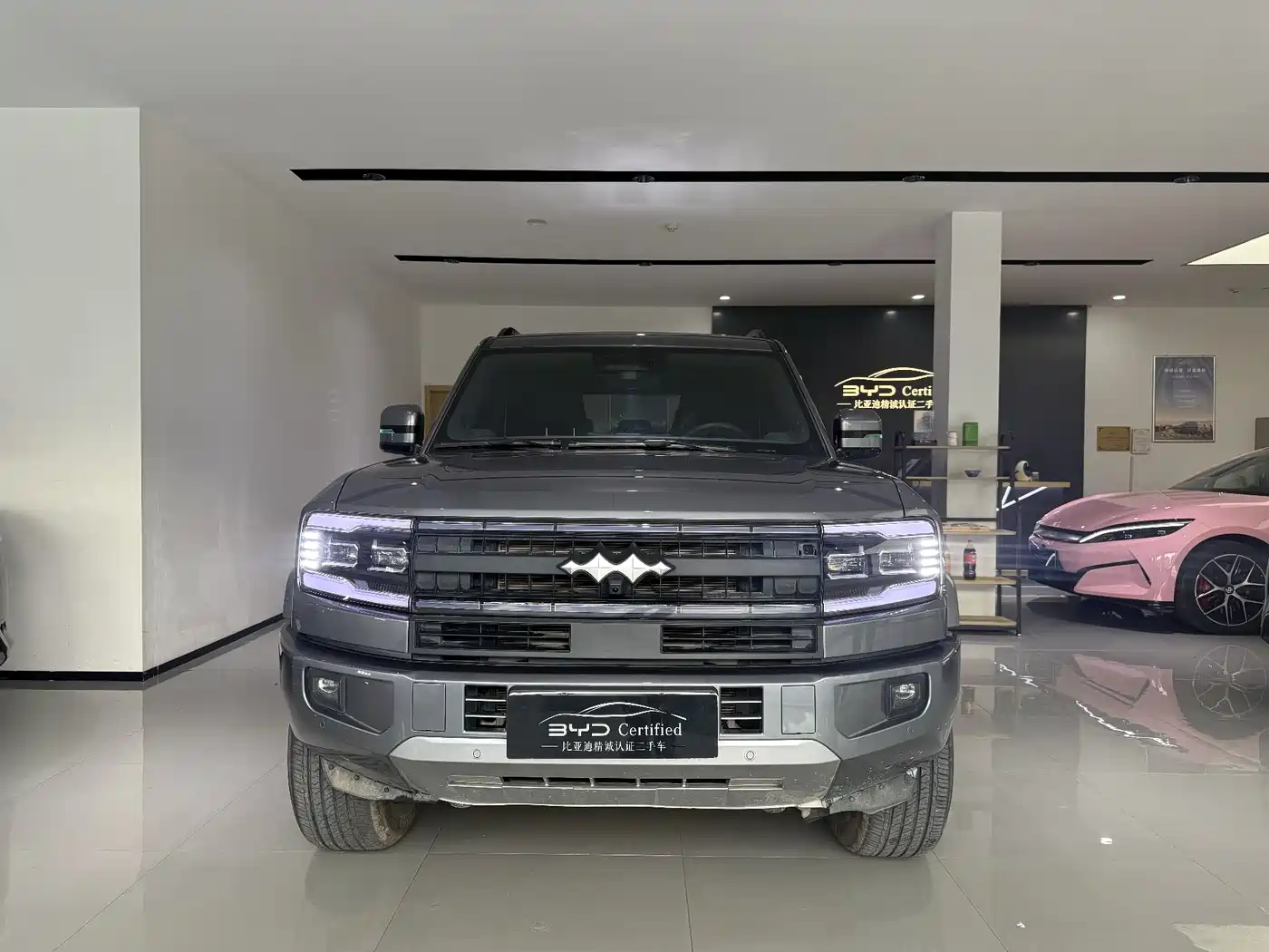 FANG CHENG BAO LEOPARD 5