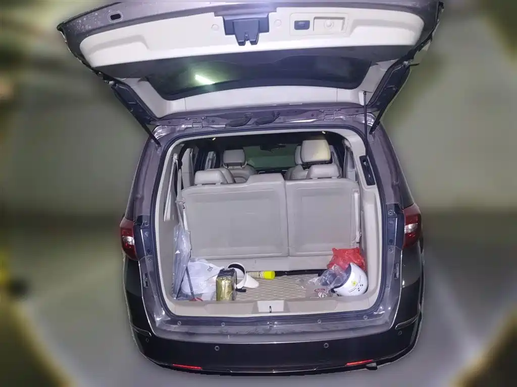 Buick GL8 2014 3.0L GT Luxury Business Elegance фото 10