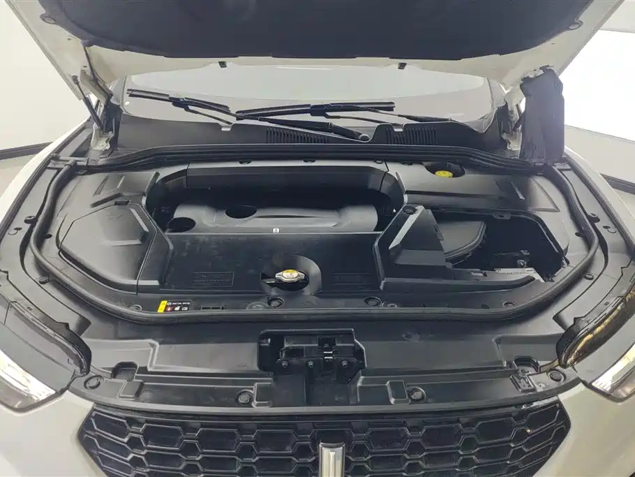 WEI PAI WEI BRAND VV5