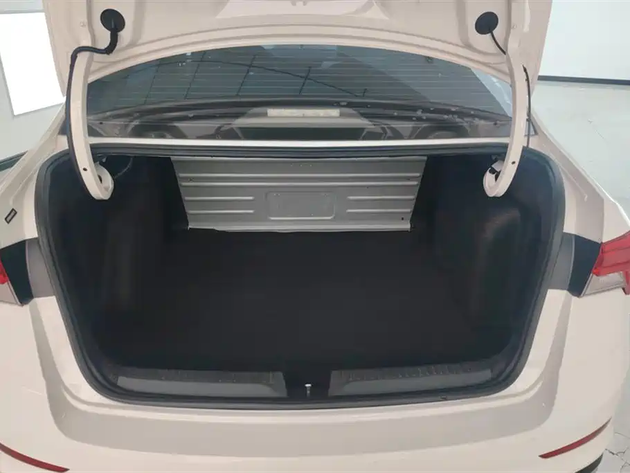 Škoda Rapid 2020 1.5L Automatic Comfort Edition фото 4