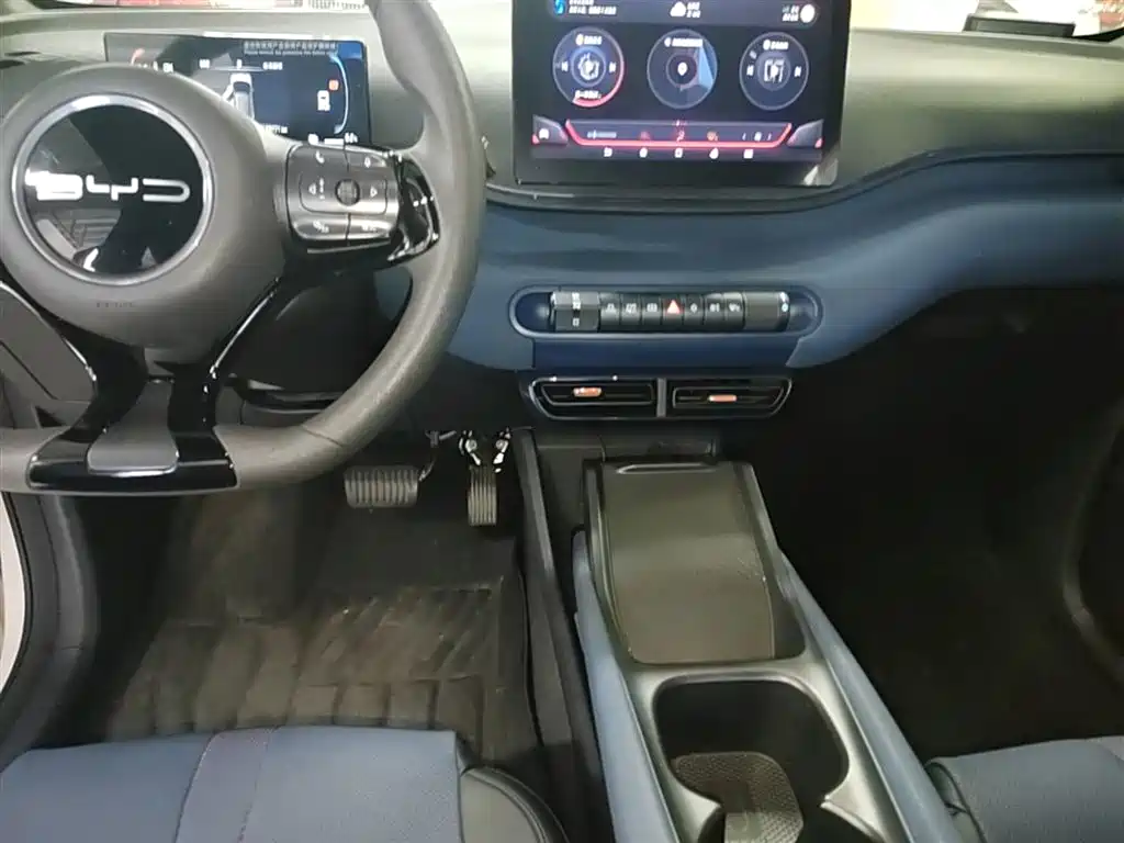 BYD Seagull 2023 Vitality Edition фото 14