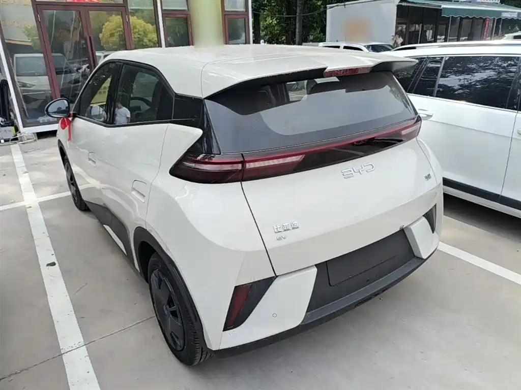 BYD Seagull 2025 Smart Drive Edition 305km Vitality Version фото 5
