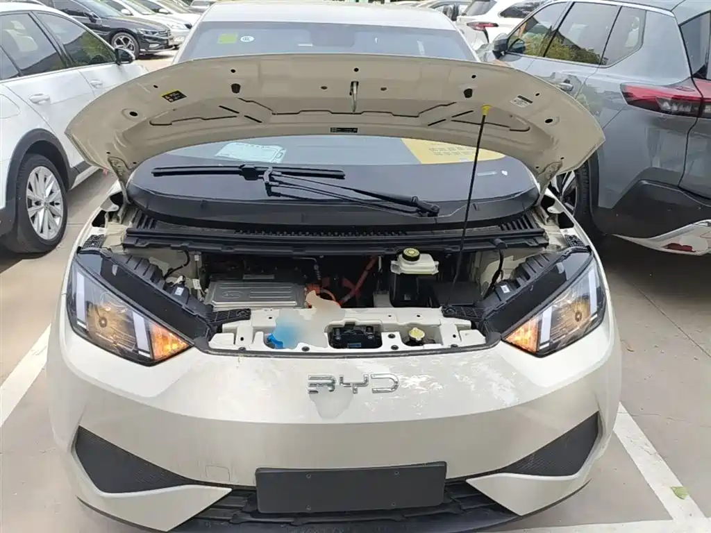 BYD Seagull 2025 Smart Drive Edition 305km Vitality Version фото 20