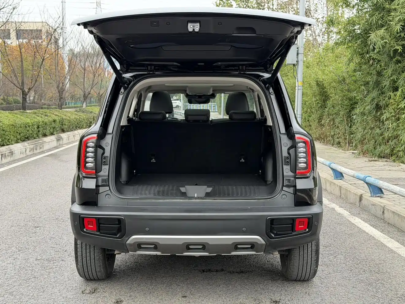 Haval Big Dog 2024 1.5T DCT Border Collie Edition фото 21
