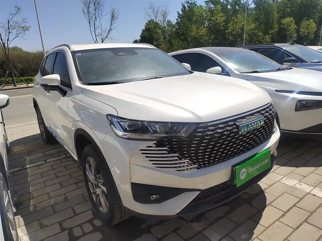 Haval H6 New Energy 2023 DHT-PHEV 110KM Joy Ride Edition фото 4