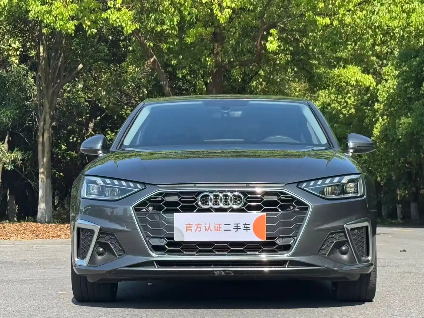 Audi A4L 2020 40 TFSI Luxury Dynamic