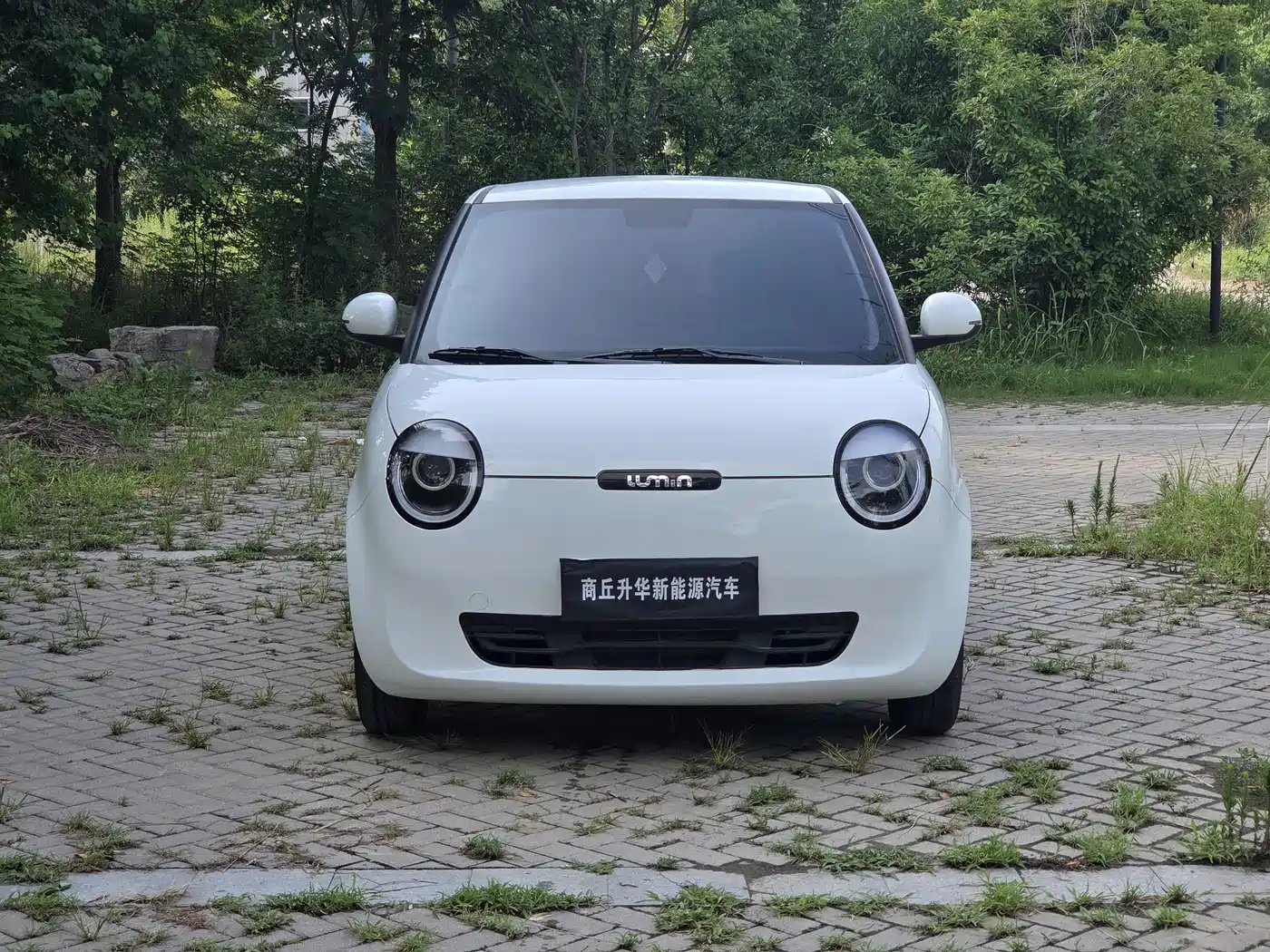 Changan Qiyuan Changan Lumin 2025 205km Fragrant Infusion Edition