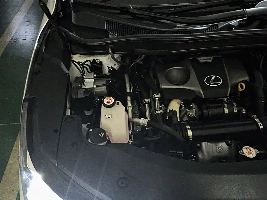 Lexus RX 2020 Facelift 300 AWD Elegance Edition фото 21