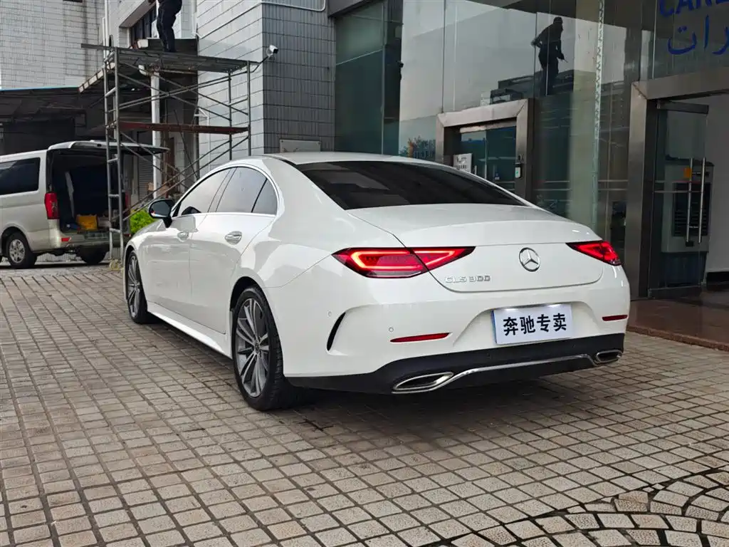 Mercedes-Benz CLS 2018 CLS 300 Luxury фото 6
