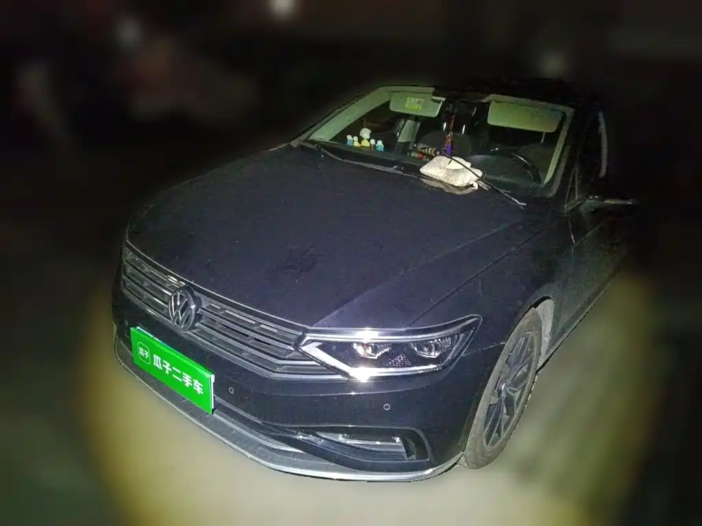 Volkswagen Magotan 2020 330TSI DSG Leading