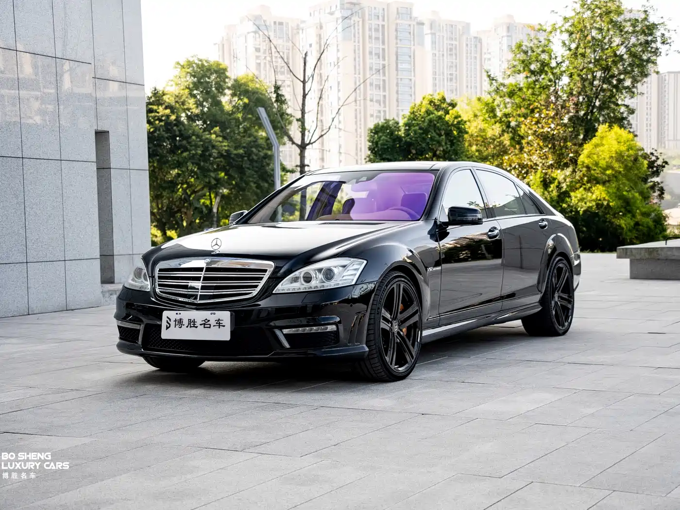 Mercedes-Benz S-Class AMG 2010 AMG S 65 фото 32