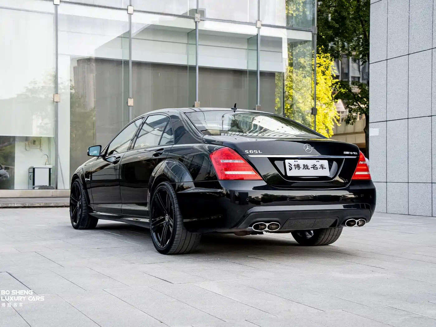 Mercedes-Benz S-Class AMG 2010 AMG S 65 фото 33