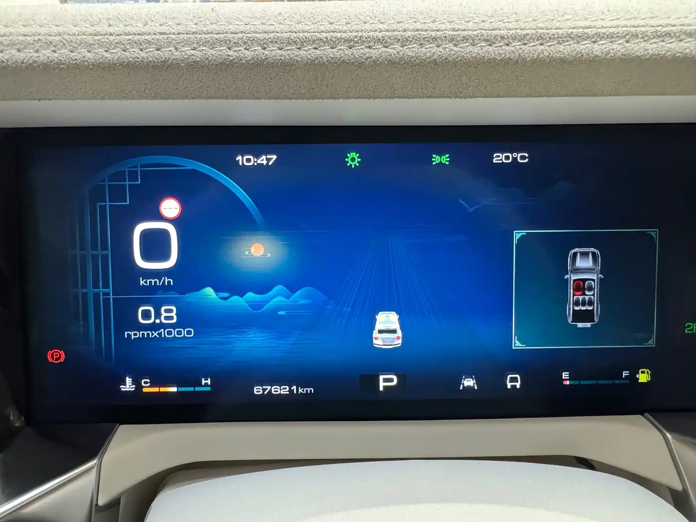 TANK CO CREATION TANK 300