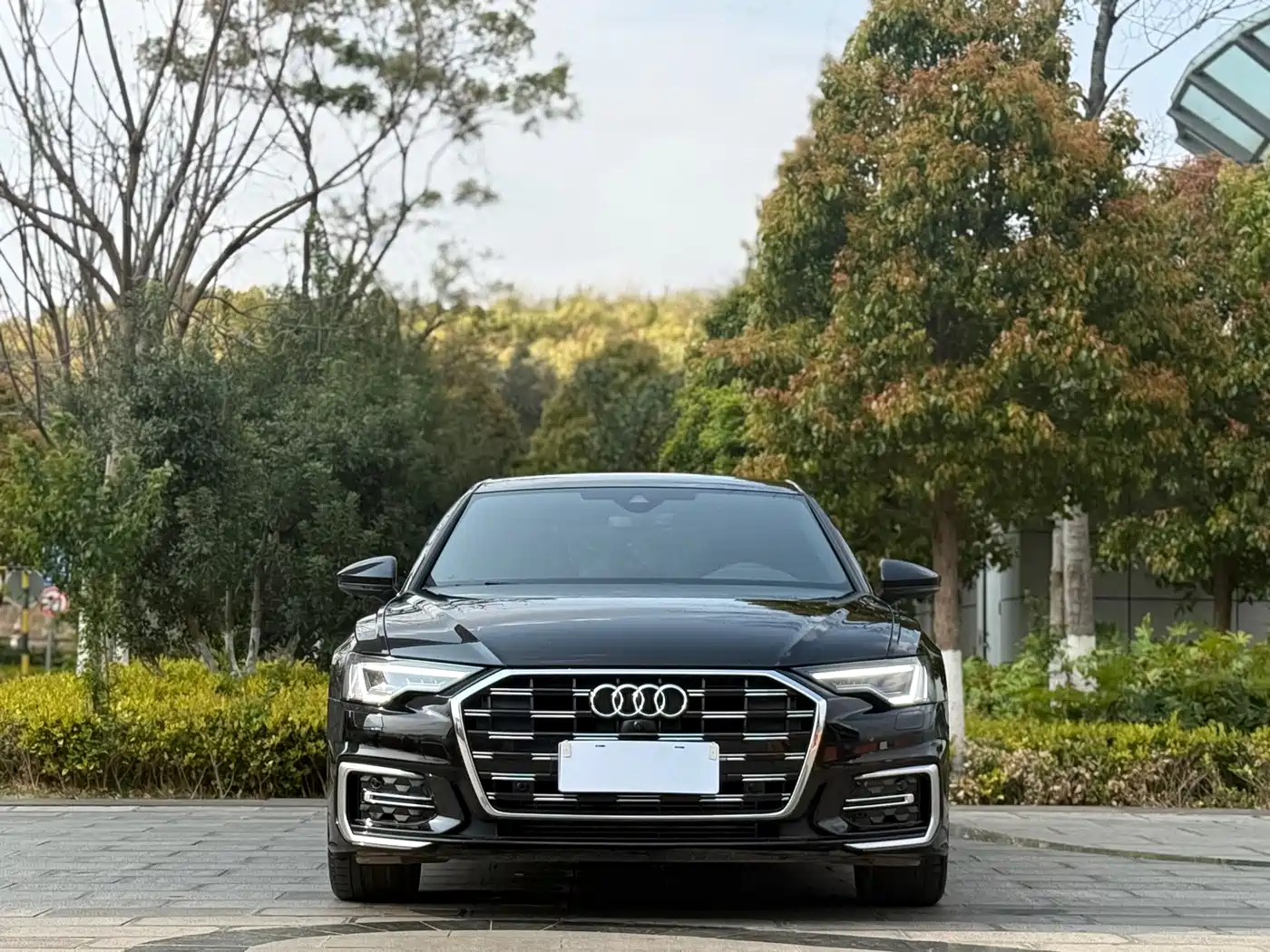 Audi A6L 2023 40 TFSI Luxury Dynamic фото 2