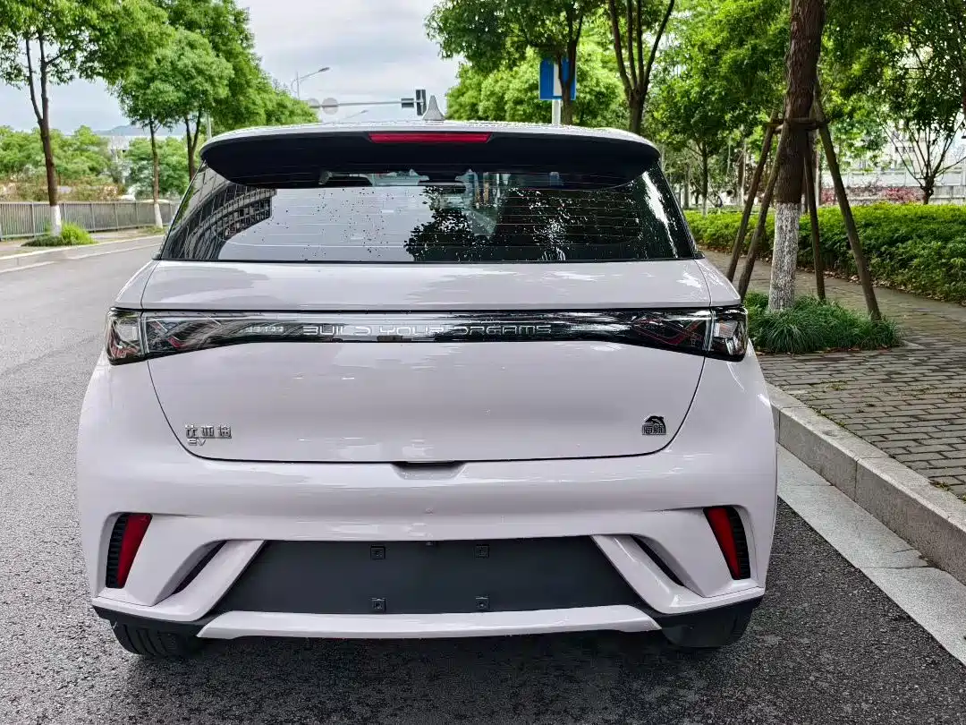 BYD Dolphin 2021 Model 405km Fashion Edition фото 5
