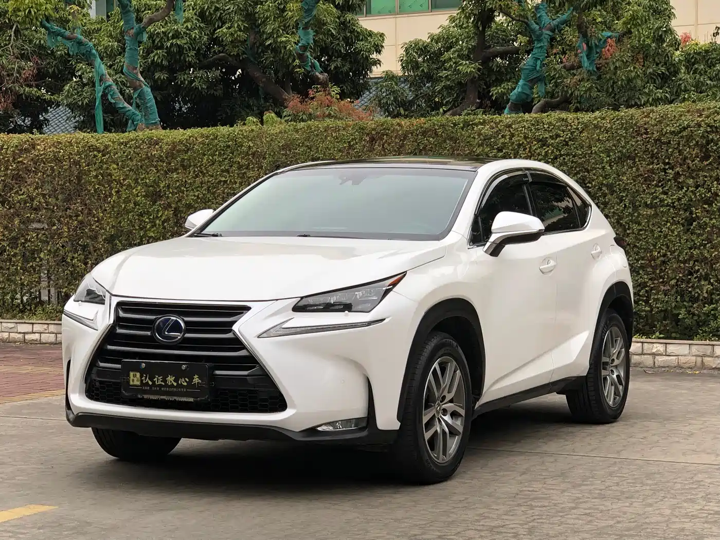 Lexus NX 2015 300h AWD F SPORT