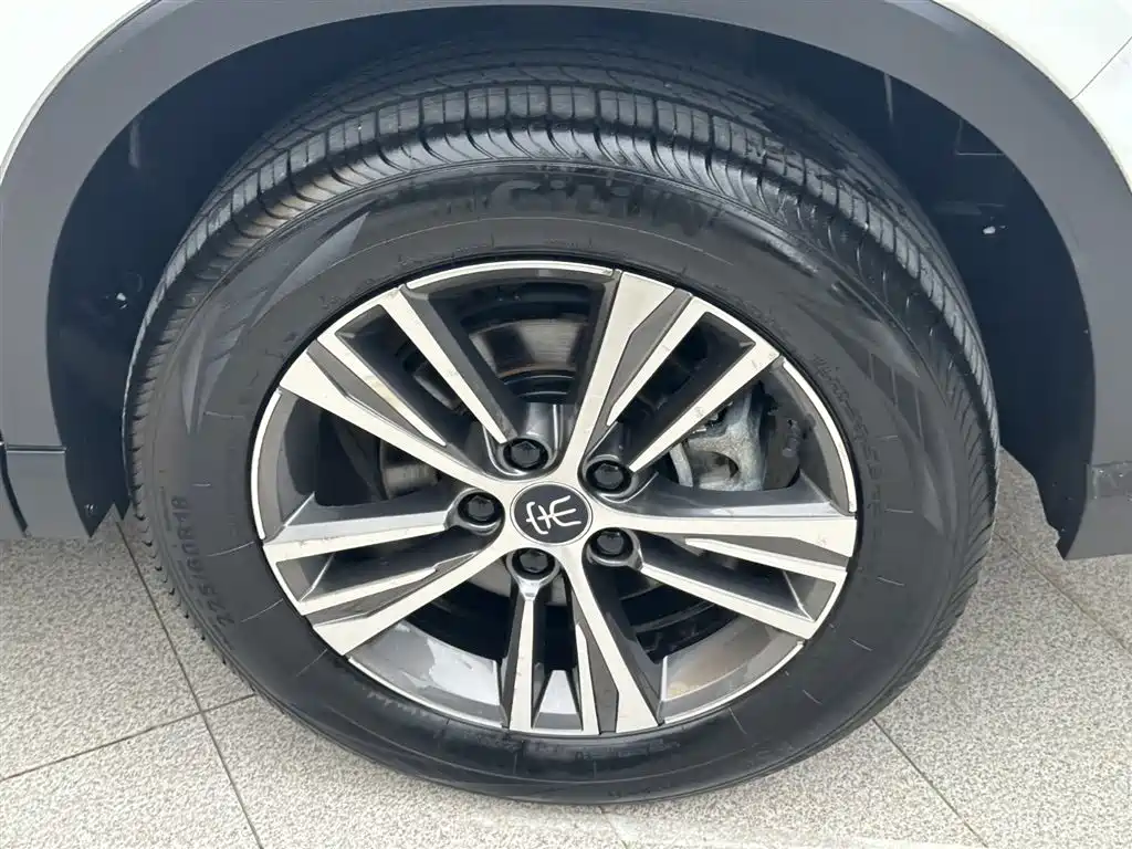 BYD Song Pro New Energy 2022 DM-i 51km Luxury фото 18