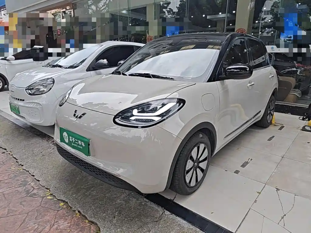 Wuling Motors Wuling Bingo 2023 Model 333km Joy+ Version