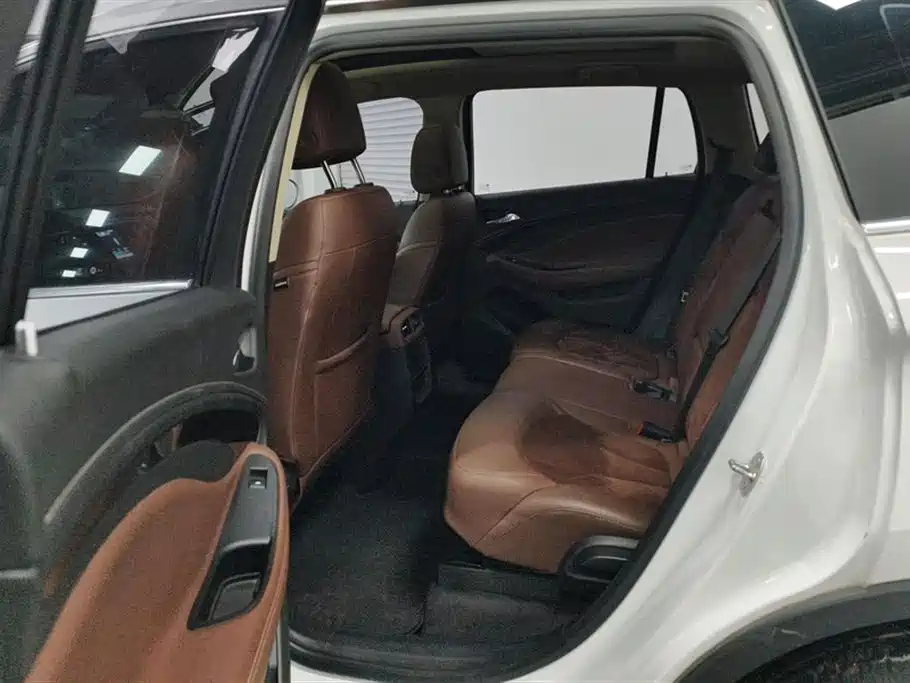 Buick Envision Plus 2017 20T 2WD Luxury фото 11