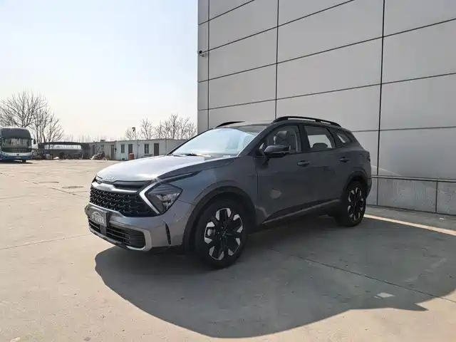 kia lion-platinum-expands-the-world