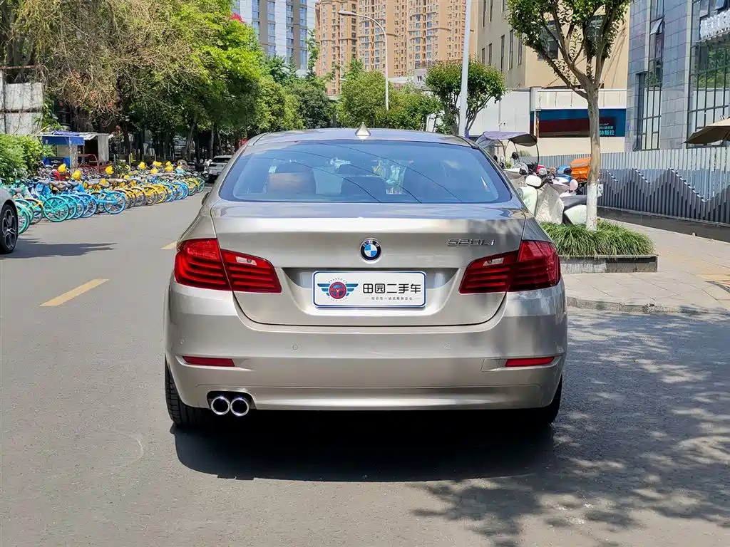 BMW 5 Series 2014 520Li Elegance фото 5
