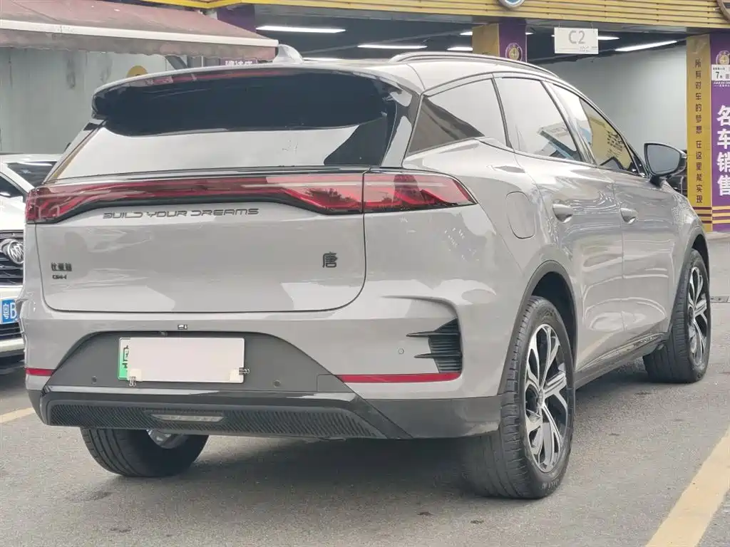 BYD Tang New Energy 2025 DM-i 115KM Flagship фото 11