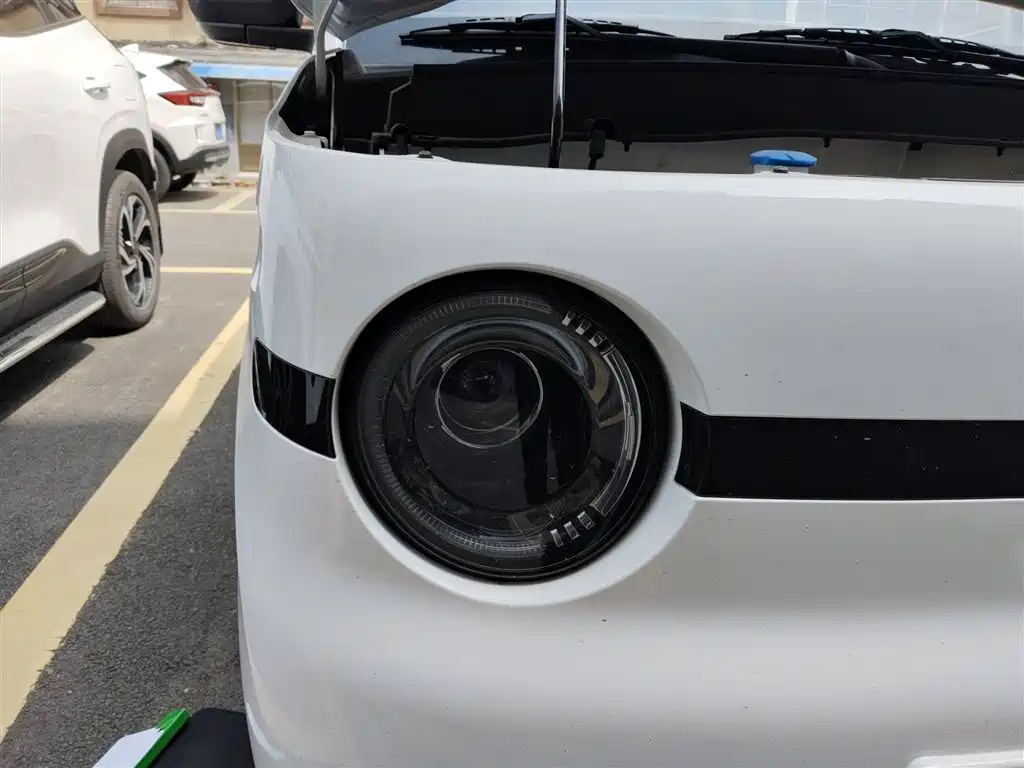 Geely Galaxy Panda 2025 Panda mini 210km Vitality Bear фото 30