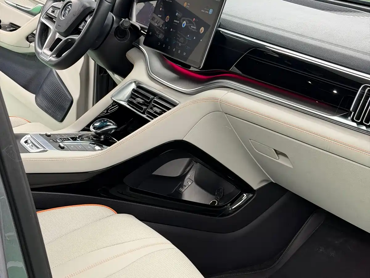 BYD SONGJIANG NEW ENERGY