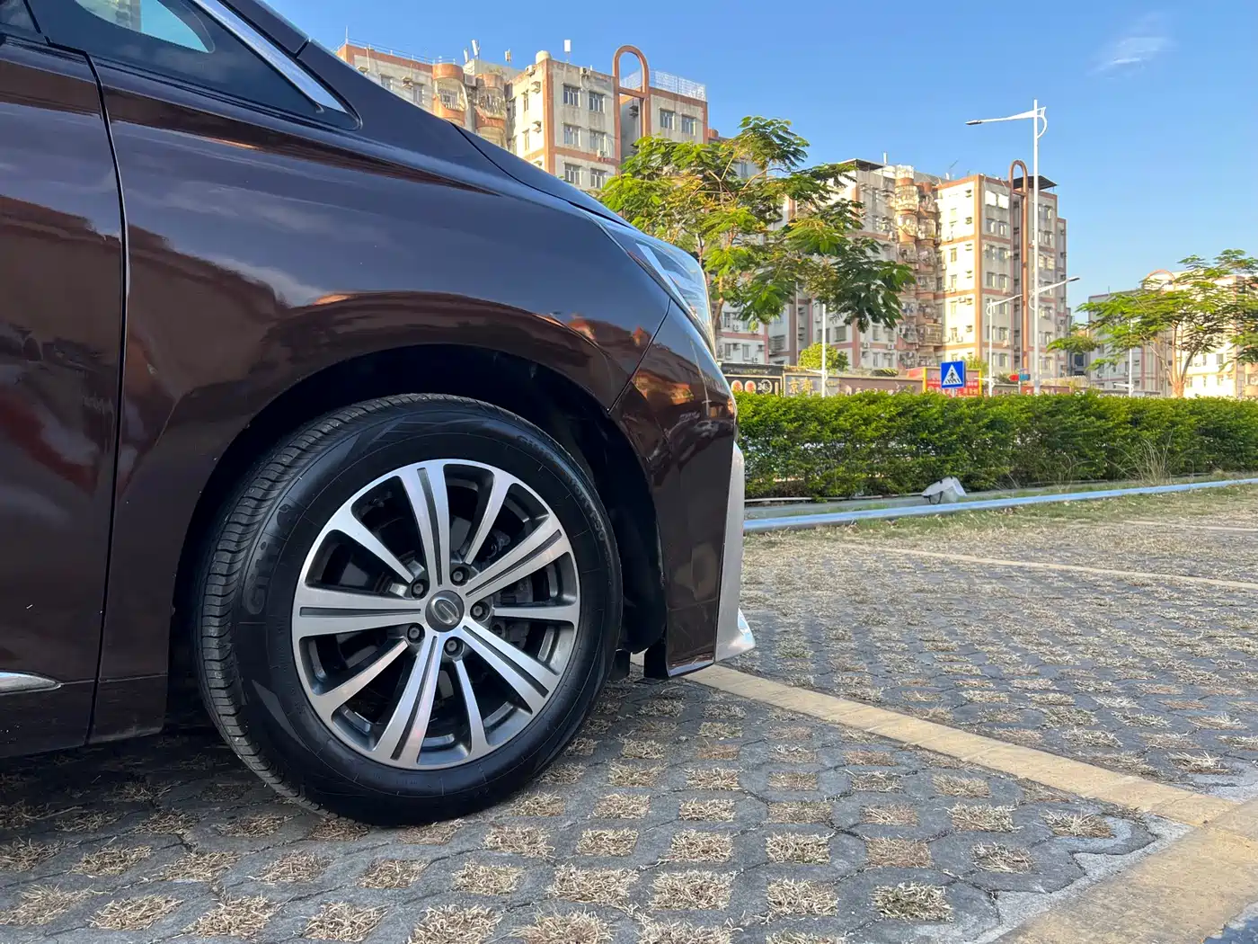 GAC Trumpchi Trumpchi M8 2018 320T Premium Edition фото 8