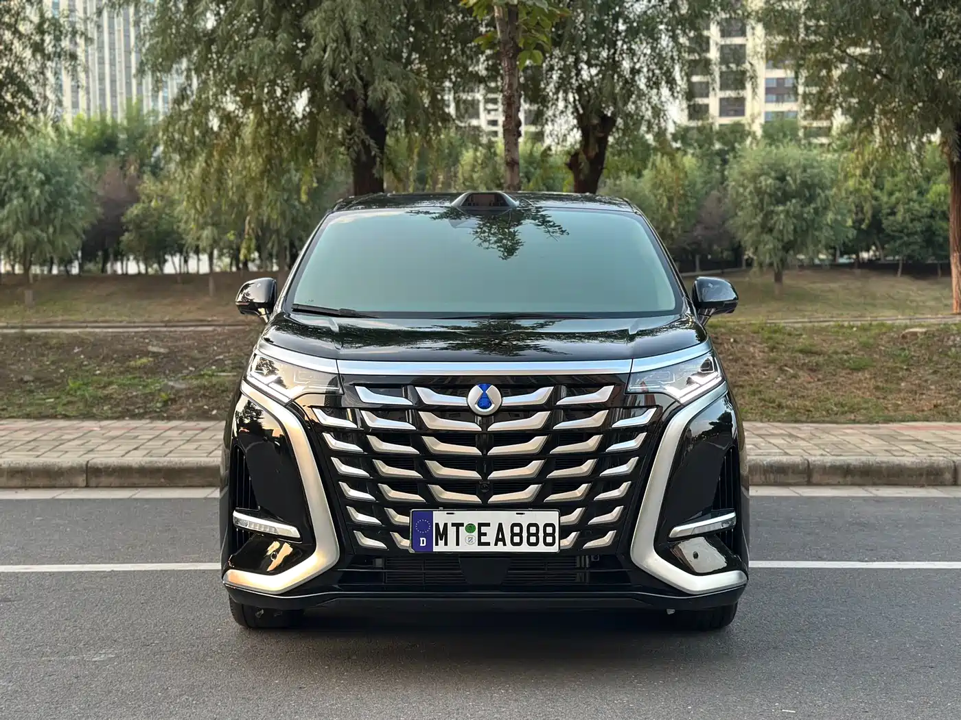 Фото 2 - Denza D9