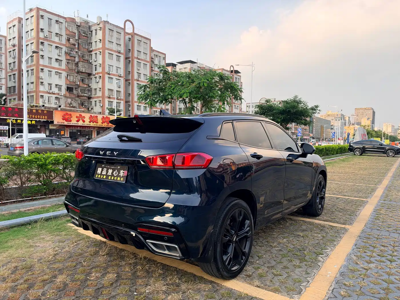 WEY VV7 2020 2020 Model 2.0T Flagship
