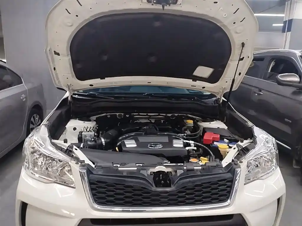 Subaru Forester 2015 2.0i Special Commemorative Edition фото 20