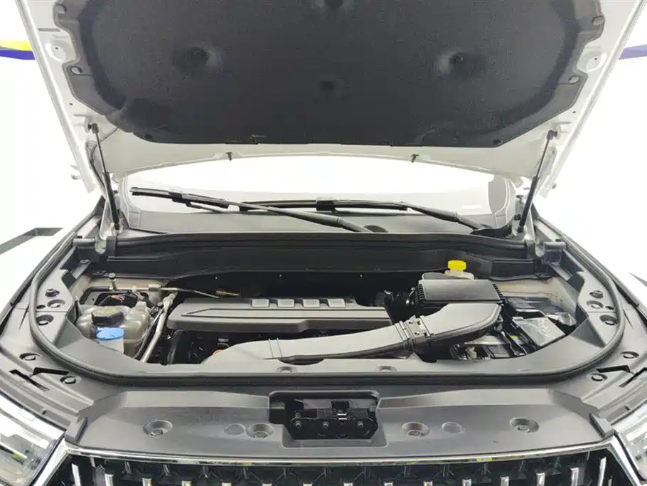 Haval H6 2023 National Trend Edition 1.5T Automatic Champion фото 10